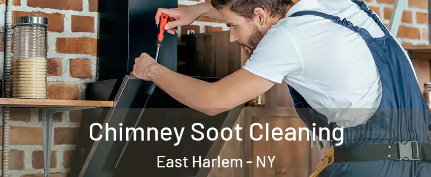 Chimney Soot Cleaning East Harlem - NY