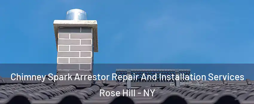 Chimney Spark Arrestor Repair And Installation Services Rose Hill - NY