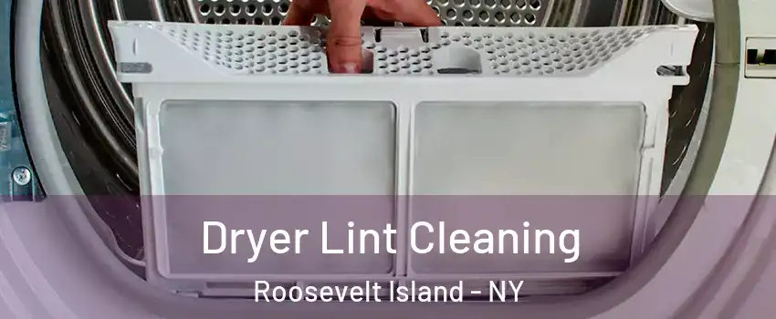 Dryer Lint Cleaning Roosevelt Island - NY