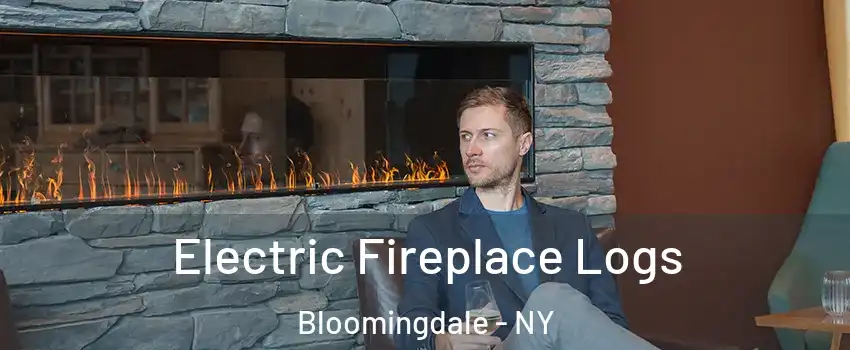 Electric Fireplace Logs Bloomingdale - NY