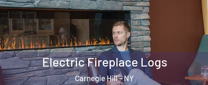 Electric Fireplace Logs Carnegie Hill - NY