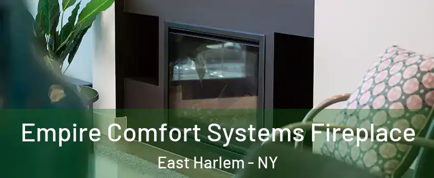 Empire Comfort Systems Fireplace East Harlem - NY