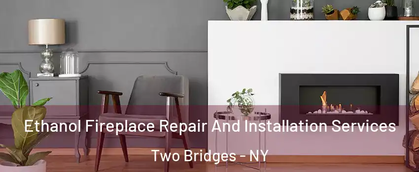 Ethanol Fireplace Repair And Installation Services Two Bridges - NY