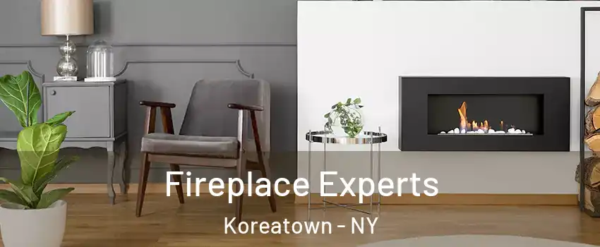 Fireplace Experts Koreatown - NY