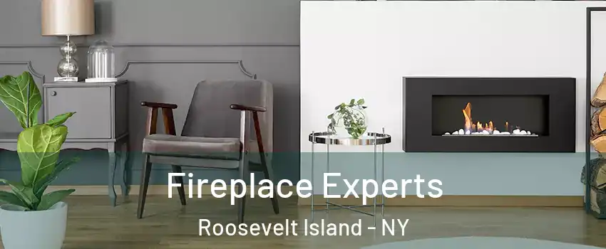 Fireplace Experts Roosevelt Island - NY