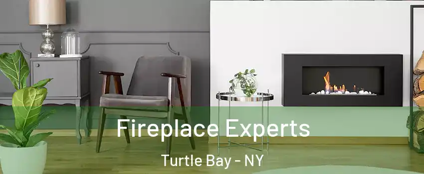 Fireplace Experts Turtle Bay - NY