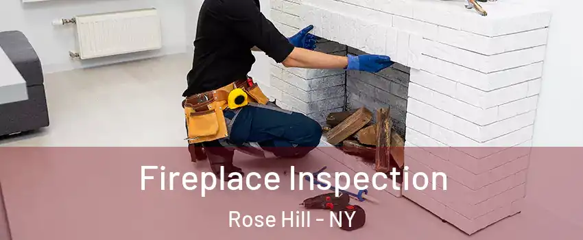 Fireplace Inspection Rose Hill - NY