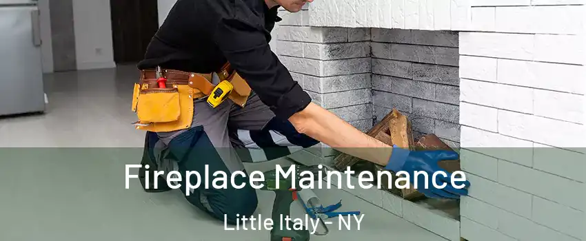 Fireplace Maintenance Little Italy - NY