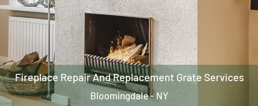 Fireplace Repair And Replacement Grate Services Bloomingdale - NY