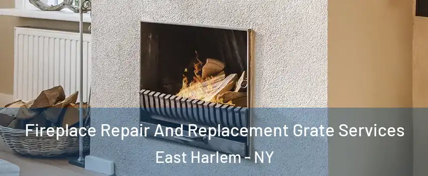 Fireplace Repair And Replacement Grate Services East Harlem - NY