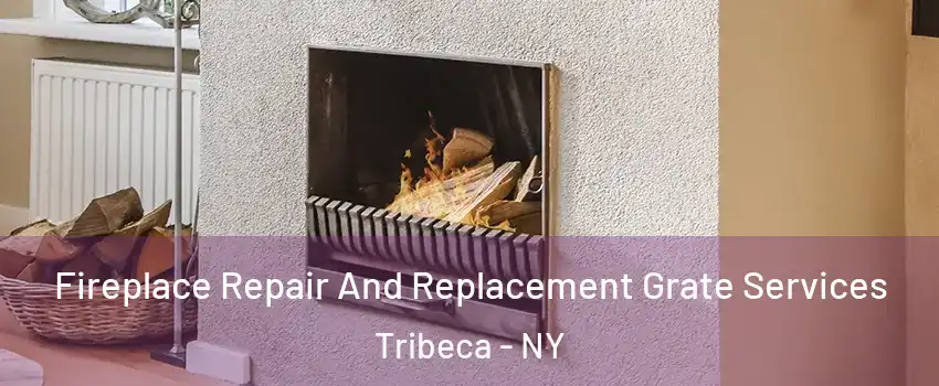 Fireplace Repair And Replacement Grate Services Tribeca - NY