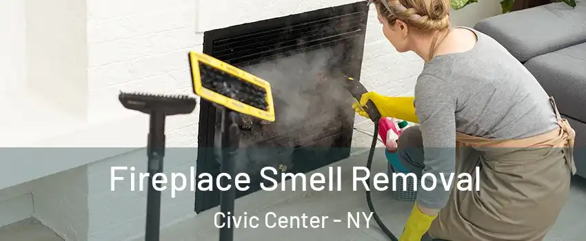 Fireplace Smell Removal Civic Center - NY