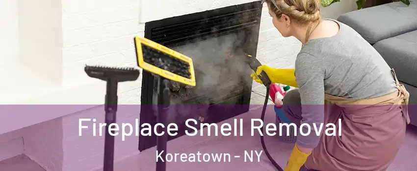 Fireplace Smell Removal Koreatown - NY