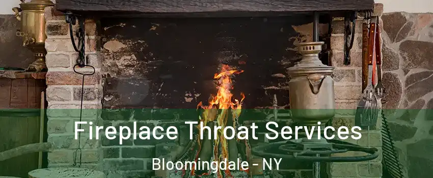 Fireplace Throat Services Bloomingdale - NY