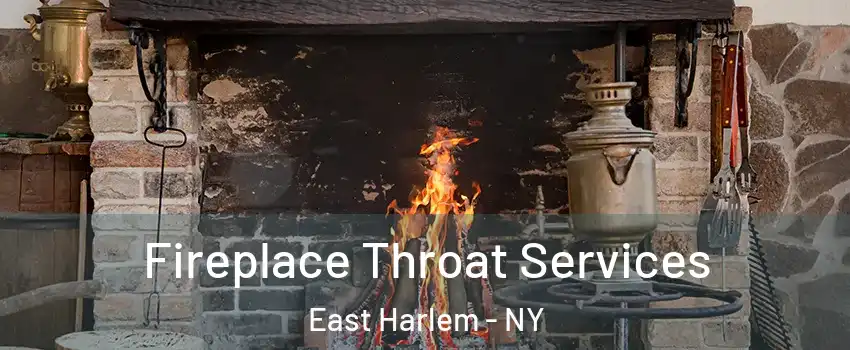 Fireplace Throat Services East Harlem - NY