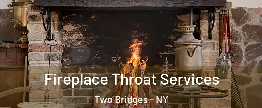 Fireplace Throat Services Two Bridges - NY