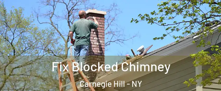 Fix Blocked Chimney Carnegie Hill - NY