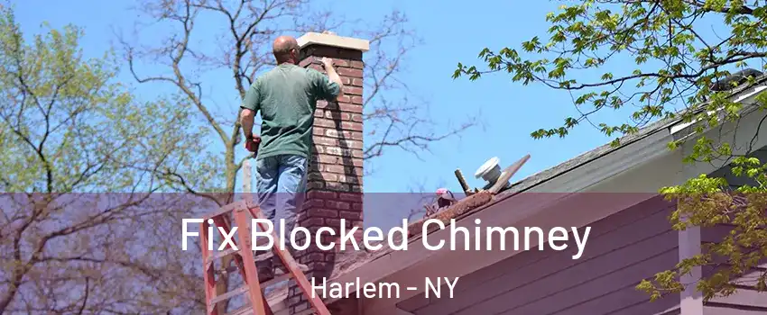 Fix Blocked Chimney Harlem - NY