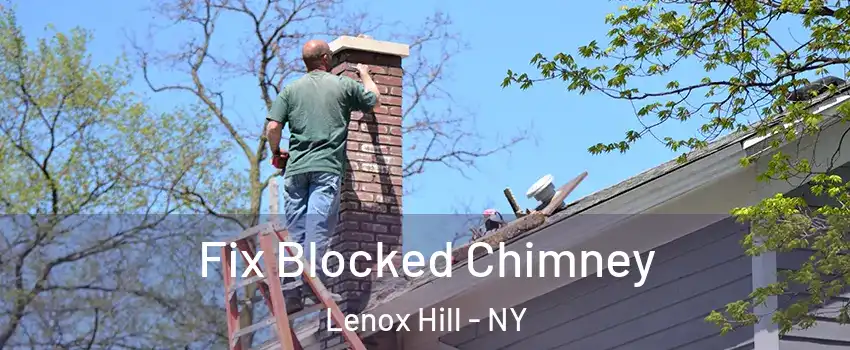 Fix Blocked Chimney Lenox Hill - NY