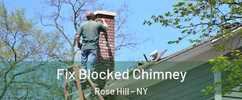 Fix Blocked Chimney Rose Hill - NY