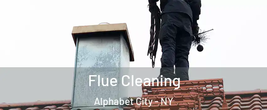 Flue Cleaning Alphabet City - NY