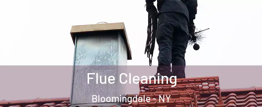 Flue Cleaning Bloomingdale - NY