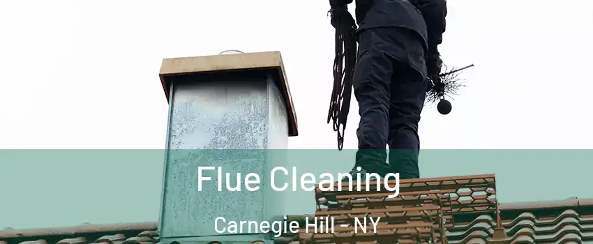 Flue Cleaning Carnegie Hill - NY