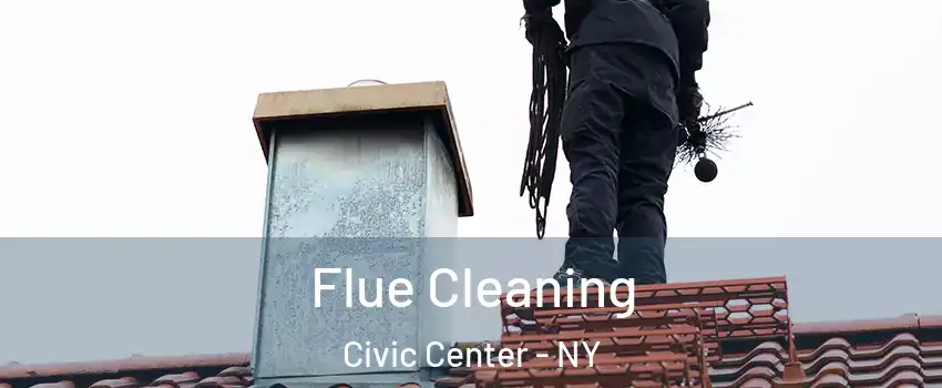 Flue Cleaning Civic Center - NY