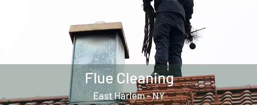 Flue Cleaning East Harlem - NY