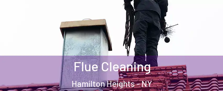 Flue Cleaning Hamilton Heights - NY