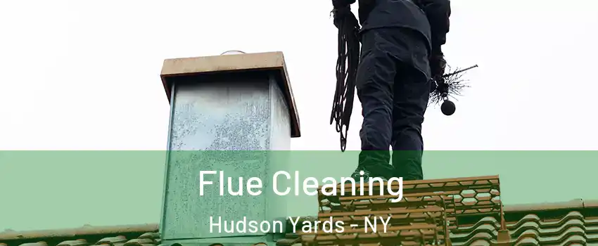 Flue Cleaning Hudson Yards - NY