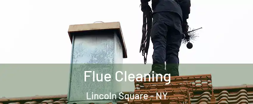 Flue Cleaning Lincoln Square - NY