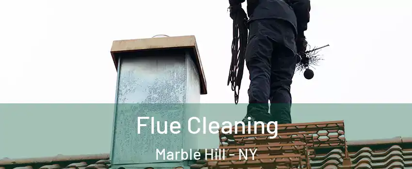 Flue Cleaning Marble Hill - NY