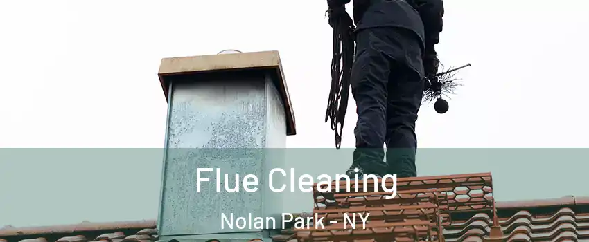 Flue Cleaning Nolan Park - NY