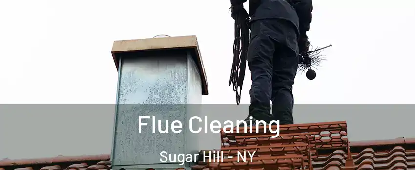 Flue Cleaning Sugar Hill - NY