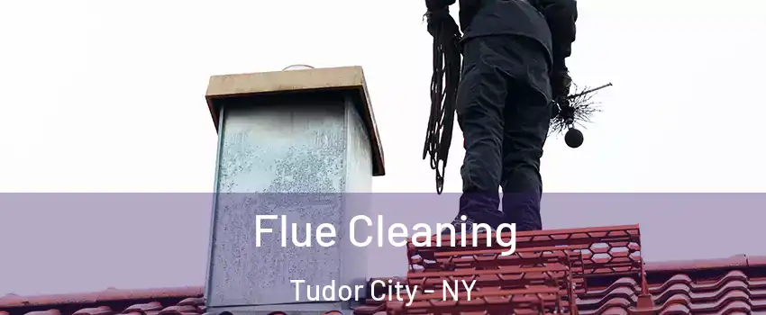 Flue Cleaning Tudor City - NY