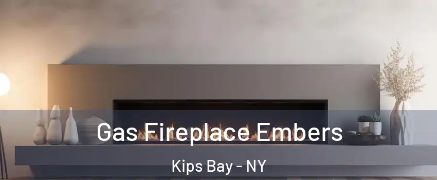 Gas Fireplace Embers Kips Bay - NY