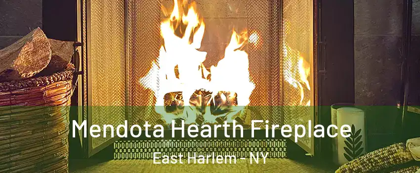 Mendota Hearth Fireplace East Harlem - NY