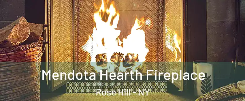 Mendota Hearth Fireplace Rose Hill - NY