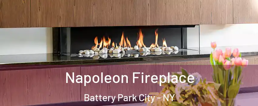 Napoleon Fireplace Battery Park City - NY