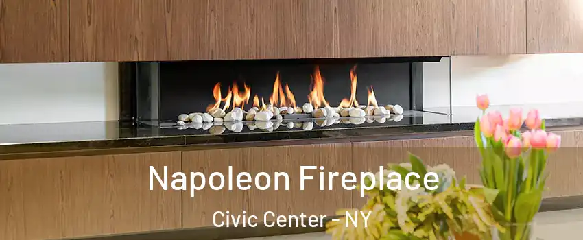 Napoleon Fireplace Civic Center - NY