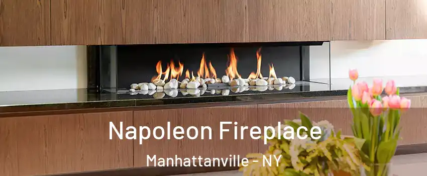 Napoleon Fireplace Manhattanville - NY