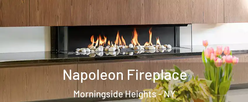 Napoleon Fireplace Morningside Heights - NY