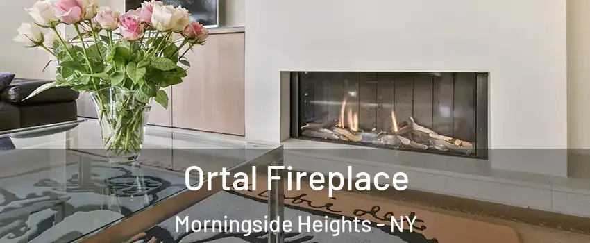 Ortal Fireplace Morningside Heights - NY