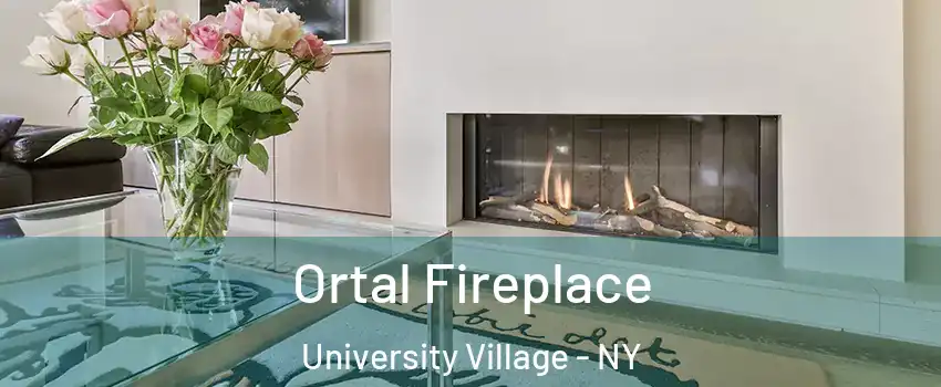 Ortal Fireplace University Village - NY