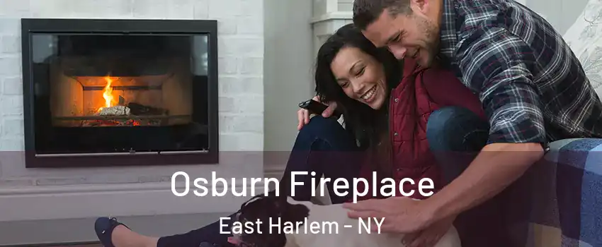 Osburn Fireplace East Harlem - NY