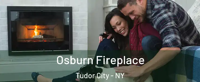 Osburn Fireplace Tudor City - NY