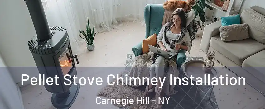 Pellet Stove Chimney Installation Carnegie Hill - NY