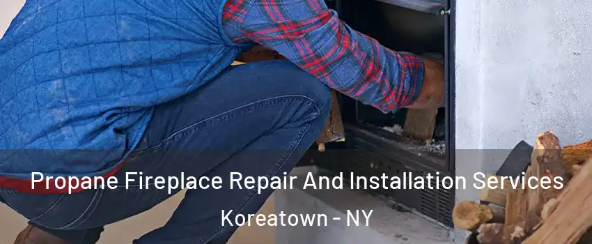 Propane Fireplace Repair And Installation Services Koreatown - NY