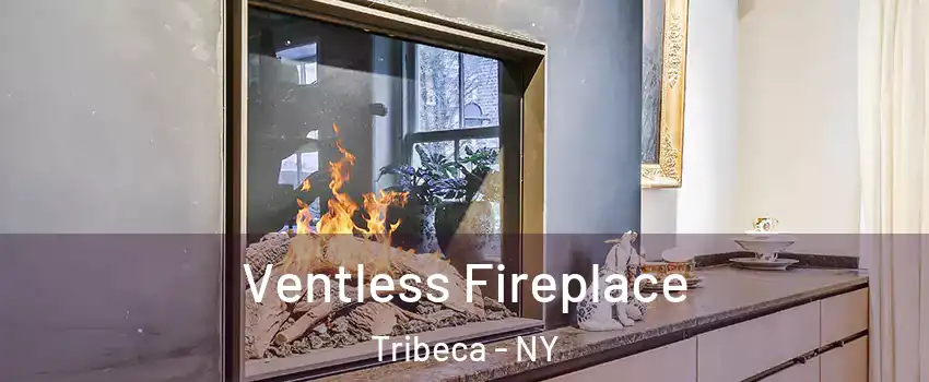 Ventless Fireplace Tribeca - NY